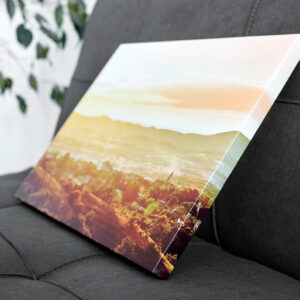 Tablouri canvas